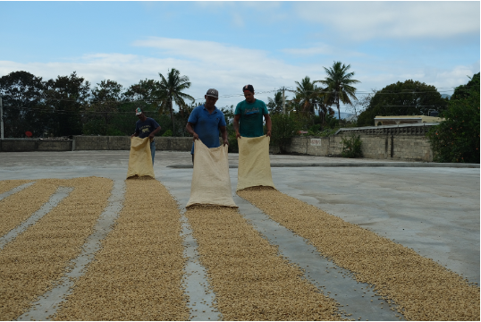 Dom. Rep. - Finca La Colonia