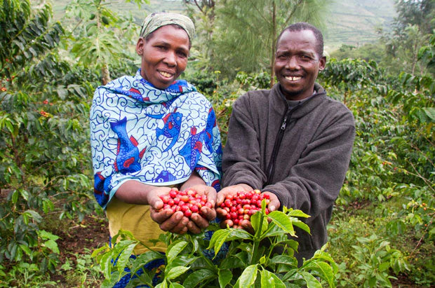 Kenya - AA+ Nyeri